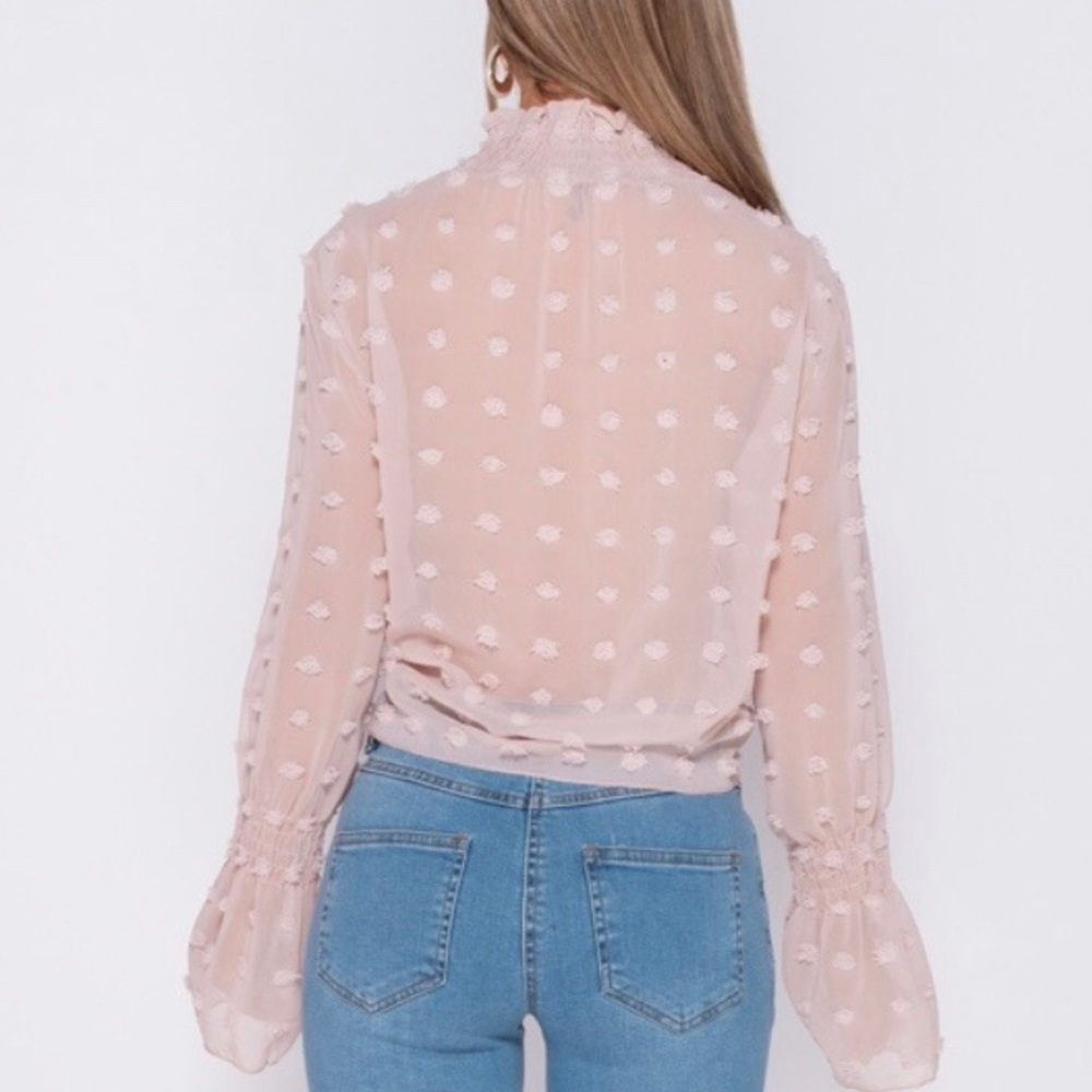 SOLD OUT 🌿🌿Blush Dobby Shirring High Neck Blouse - Picture 4 of 8